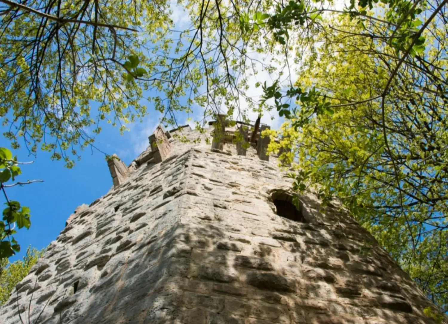 Ferienwohnung Forellenhof