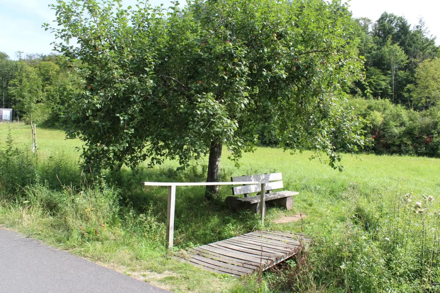 Ferienwohnung Forellenhof