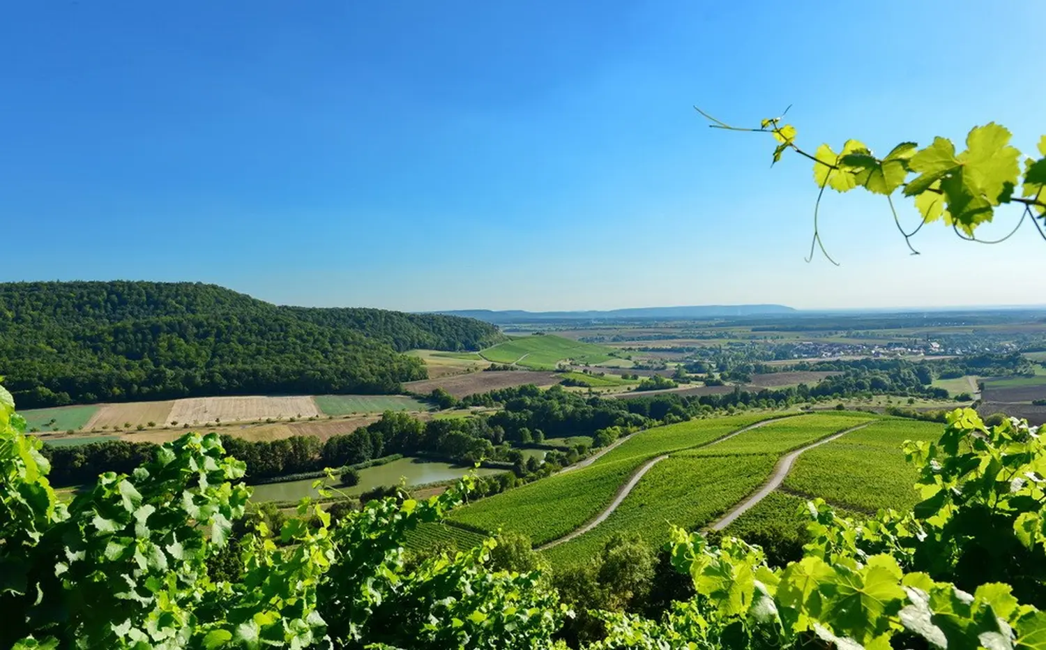 Ferienwohnung Forellenhof