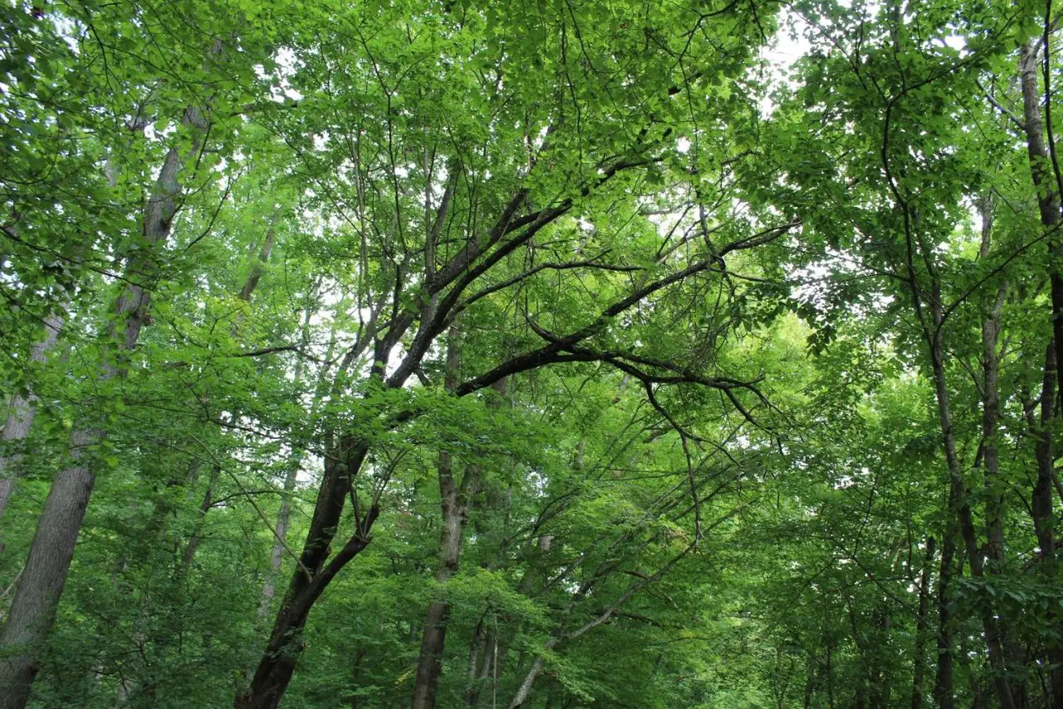 Ferienwohnung Forellenhof